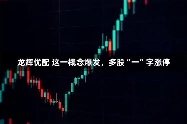 龙辉优配 这一概念爆发，多股“一”字涨停